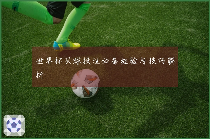 世界杯买球投注必备经验与技巧解析