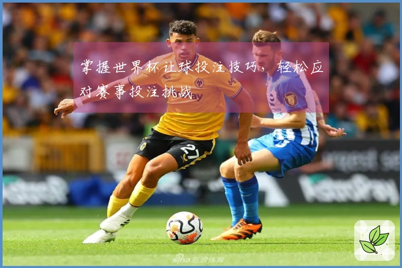 掌握世界杯让球投注技巧，轻松应对赛事投注挑战