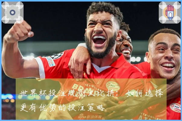 世界杯投注规则大比拼：如何选择更有优势的投注策略