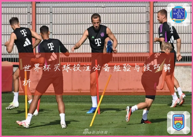 世界杯买球投注必备经验与技巧解析